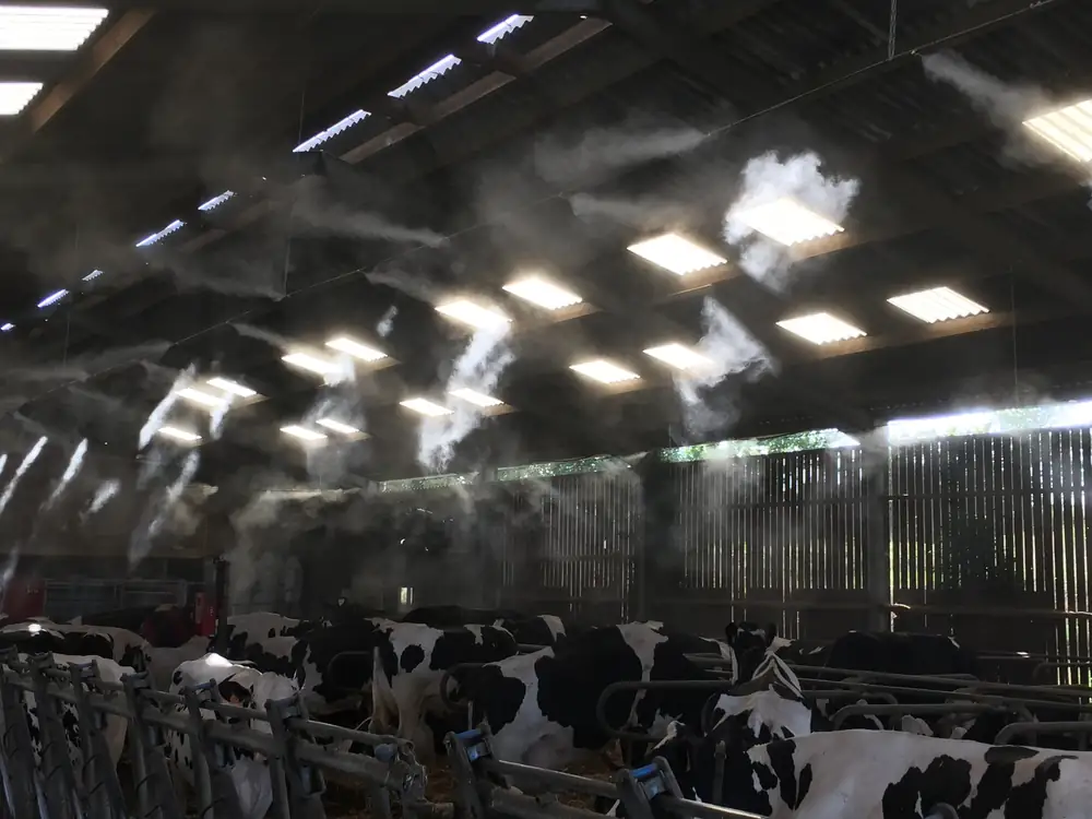 Brumisation dans un bâtiment d'élevage